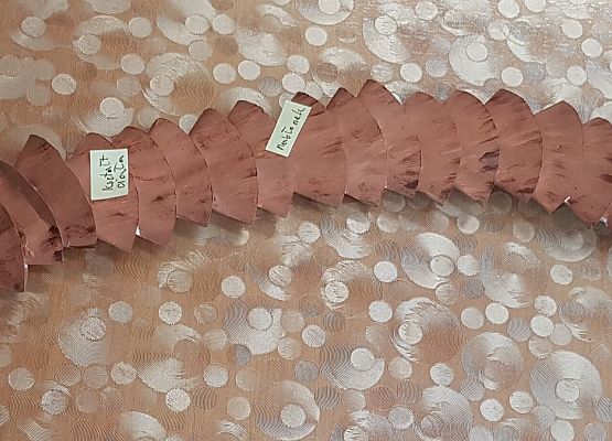 model tasiemca wykonany przez Zosię M