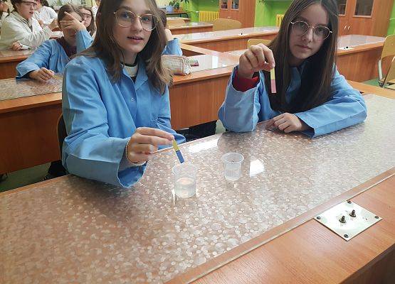 Julia T i Julia S badają pH roztworu