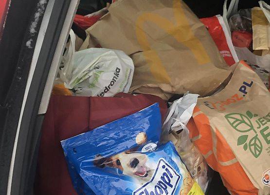 dary dla zwierząt spakowane do samochodu