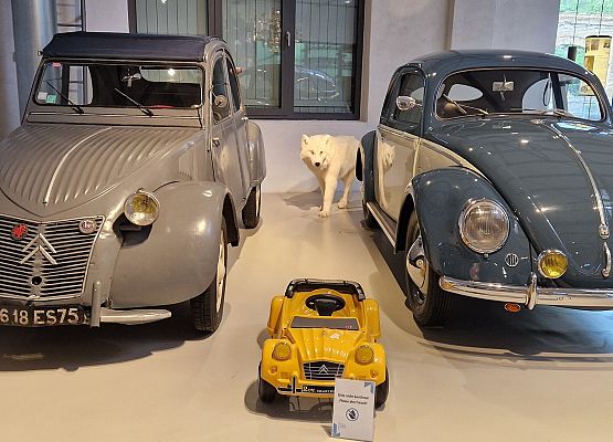 Grafika 47: Niezapomniana wycieczka - Berlin wzdłuż i wszerz!