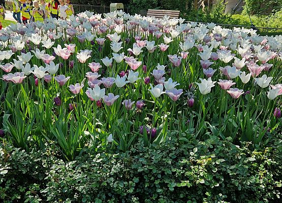 Grafika 70: Niezapomniana wycieczka - Berlin wzdłuż i wszerz!