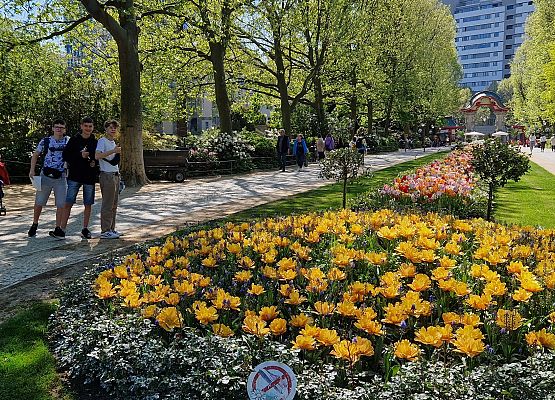 Grafika 71: Niezapomniana wycieczka - Berlin wzdłuż i wszerz!