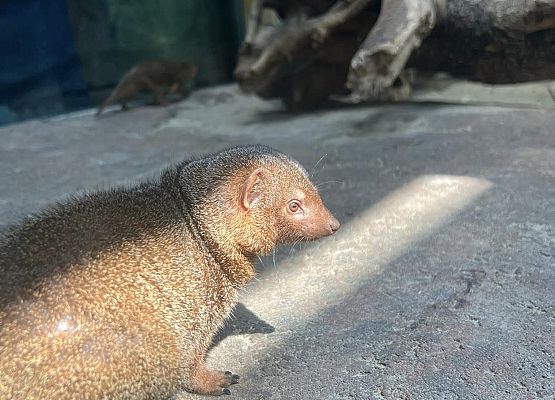 Grafika 88: Niezapomniana wycieczka - Berlin wzdłuż i wszerz!