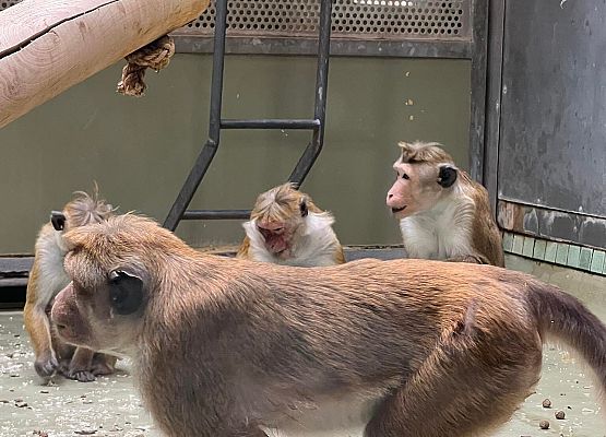 Grafika 90: Niezapomniana wycieczka - Berlin wzdłuż i wszerz!