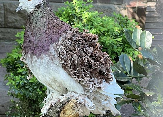 Grafika 94: Niezapomniana wycieczka - Berlin wzdłuż i wszerz!