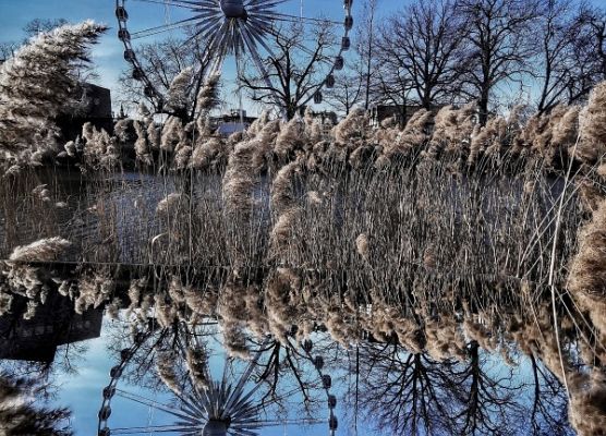 Grafika 2: Ogólnopolski konkurs fotograficzny " Matematyka w obiektywie"