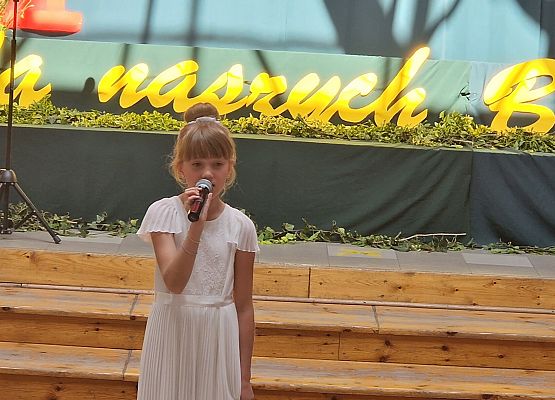 Grafika 17: Koncert dla naszych Bohaterów