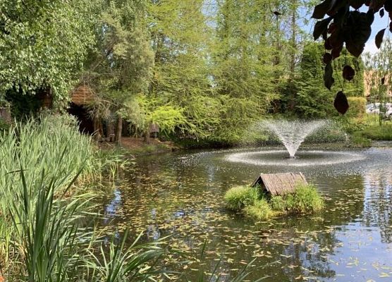 Fontanna na stawie w ogrodach Hortulus