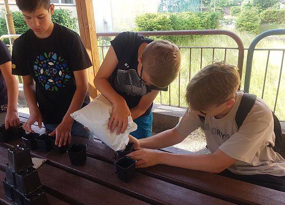 chłopcy wsypują ziemię do doniczek