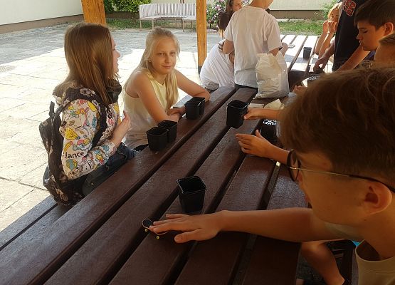 dzieci przygotowują zestawy do siania