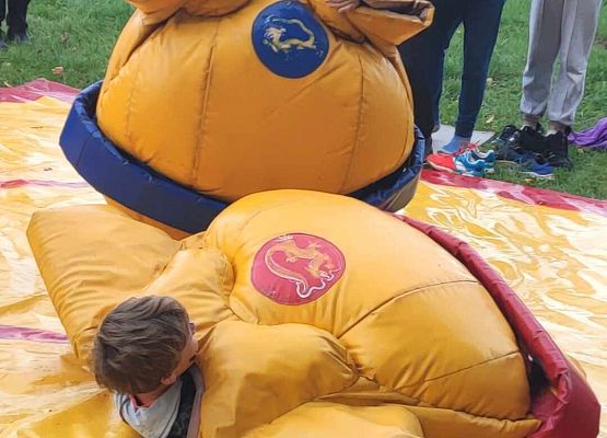 zawody sumo
