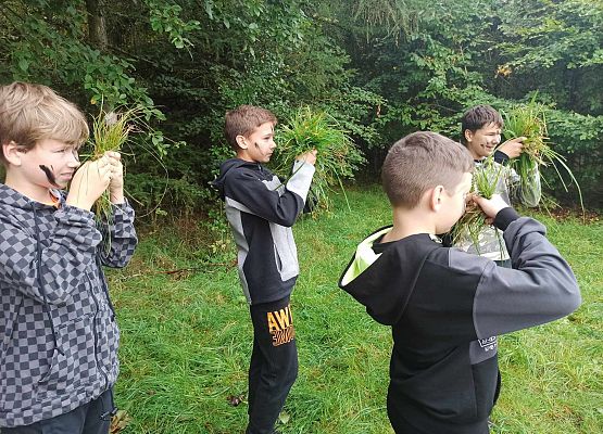 chłopcy chowają się za trawą