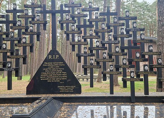 Grafika 7: Wyjazd do Piaśnicy- Szkoła Pamięta