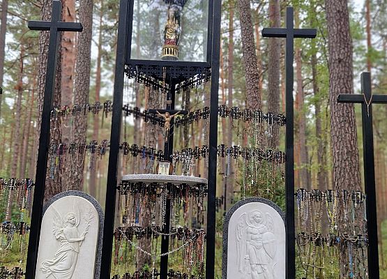 Żywa lekcja historii