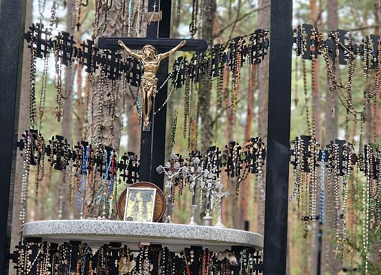 Żywa lekcja historii