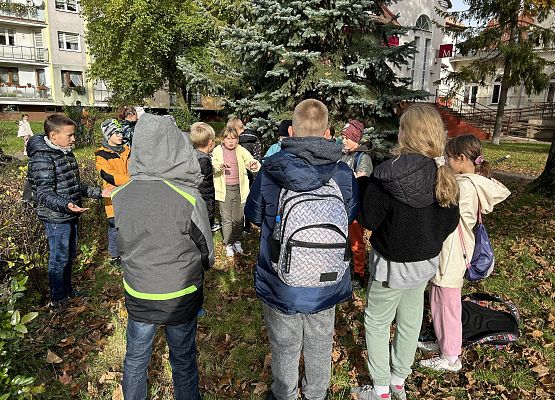 4b w oczekiwaniu na wejście