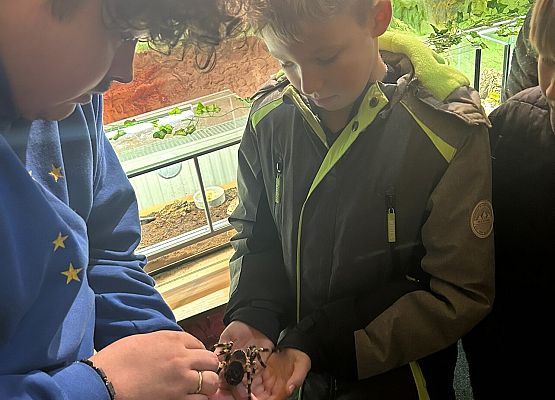 jeszcze możemypogłaskać