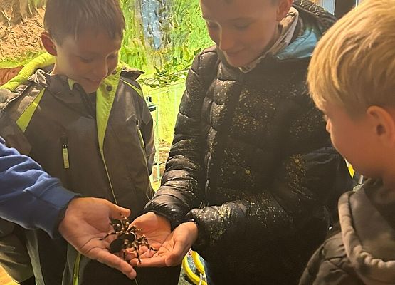 kt jeszcze się odważy