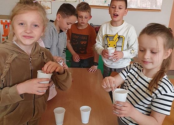 degustacja czekolady w 1c