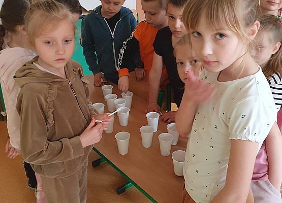 degustacja czekolady w klasie 1c