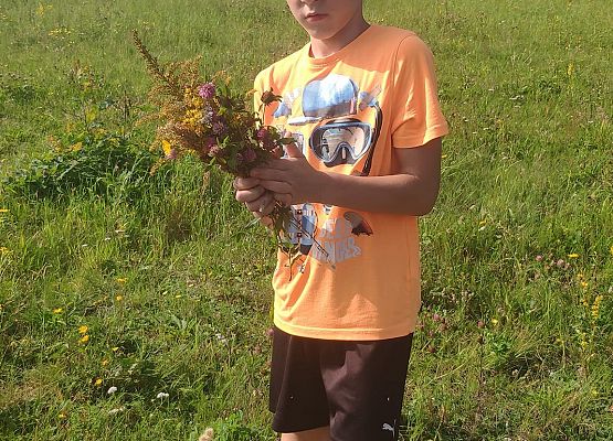 klasa w terenie Ksawery tworzy bukiet z kwiatów