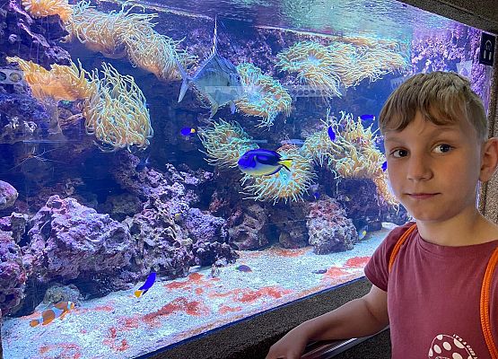 obserwacji ciąg dalszy