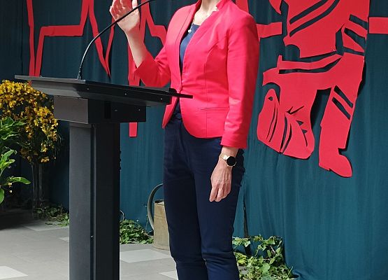 Wizytator kuratorium