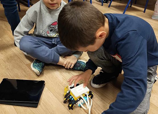 sprawdzamy działanie kraba