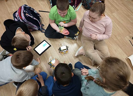 sprawdzamy działanie krabów