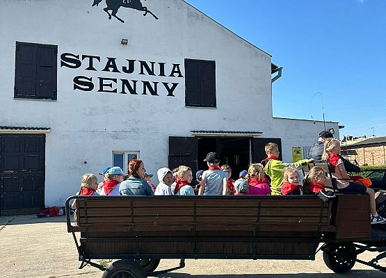 1b przejażdżka bryczką