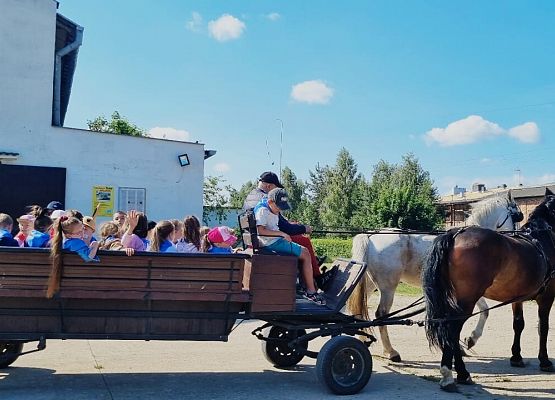 1b i przejażdżka bryczką