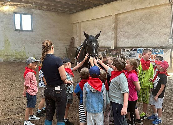 1b podczas głaskania konia