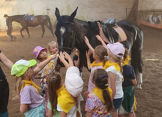1c podczas głaskania konia