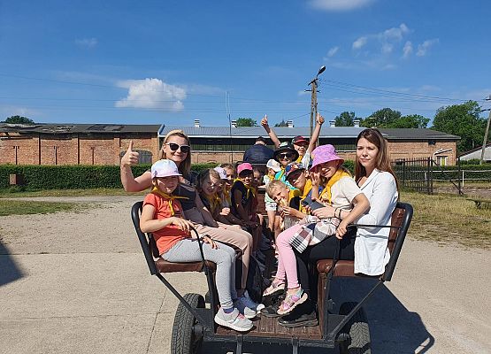 1c podczas przejażdżki bryczką