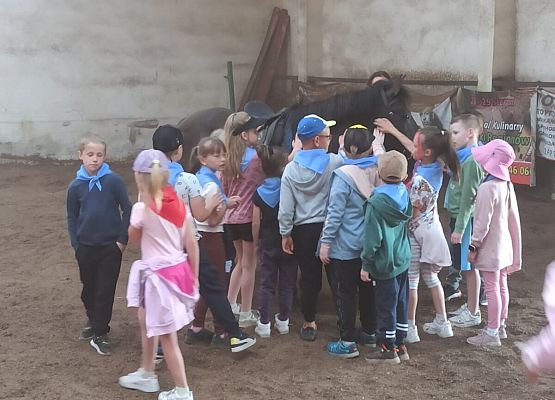 dzieci z 1a podczas głaskania konia