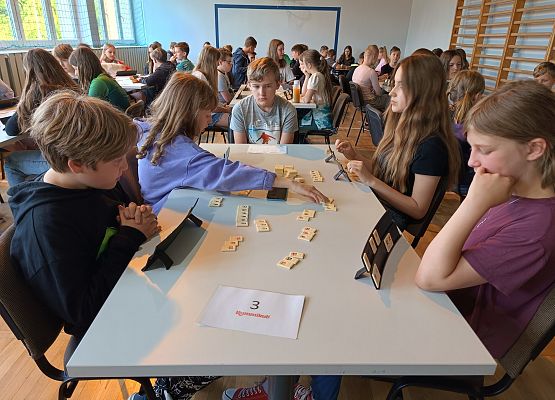 Grafika 19: Nasza szkoła bierze udział w programie "Rummikub w szkole"