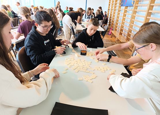 Grafika 29: Nasza szkoła bierze udział w programie "Rummikub w szkole"
