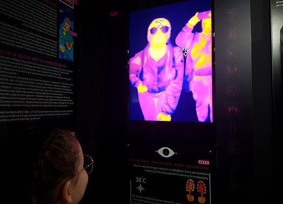 widok w kamerze termowizyjnej