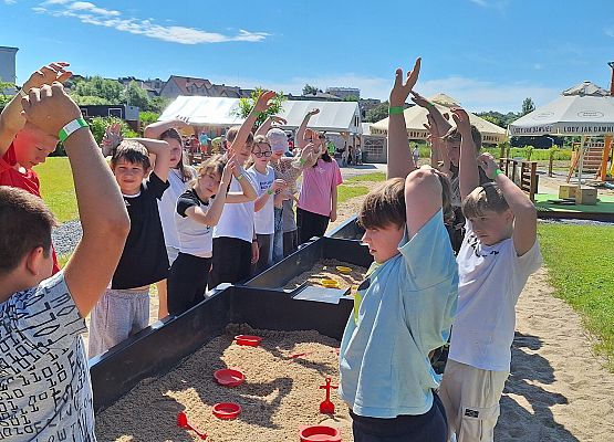 poszukiwanie bursztynów