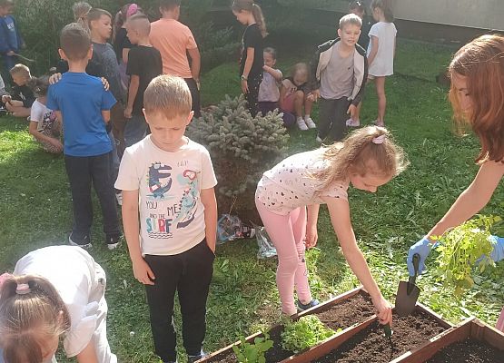 2b z panią Kasią sadzi rośliny