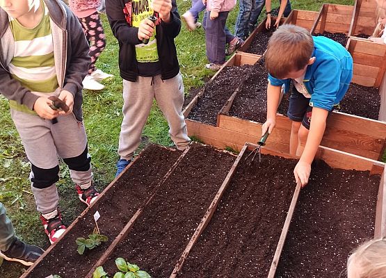 klasa 2c Piotr Główczewski Pola Kiedroń - Lisowska podczas pracy sadzą