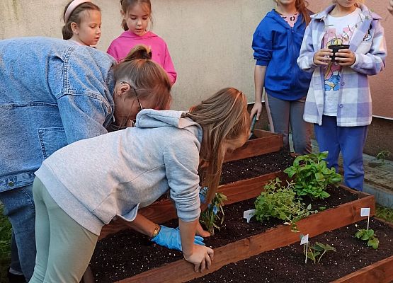 dziewczynki sadzą roślinki