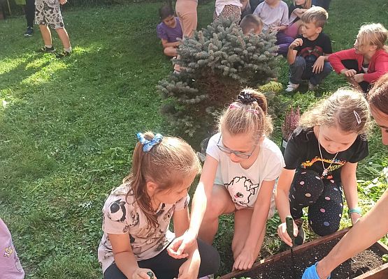 klasa 2b sadzi rośliny