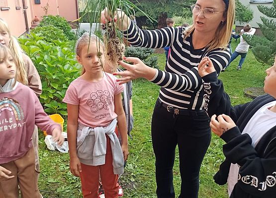 pani Monika tłumaczy dzieciom strukturę rośliny