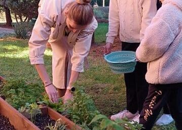 Hania Olech Oliwia Przybysz przyglądają się zrywaniu sałaty