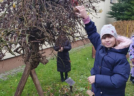 dzieci wieszają ekologiczne karmiki na terenie szkoły