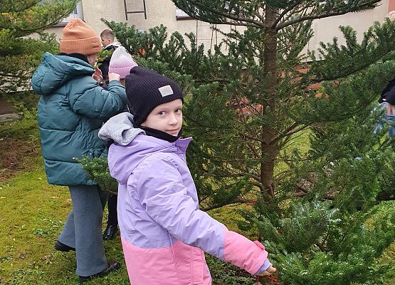 dzieci wieszają ekologiczne karmiki