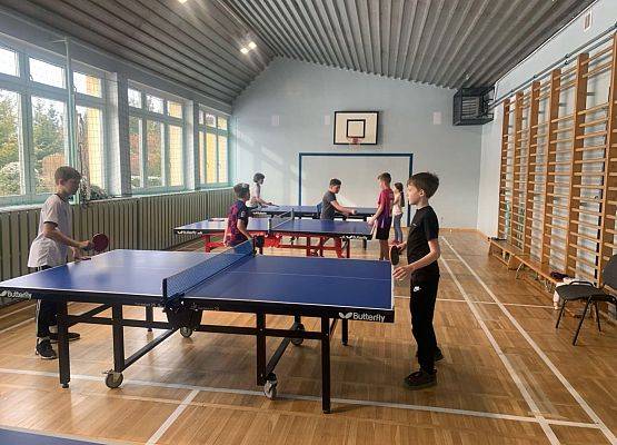 ferie na sportowo tenis stołowy