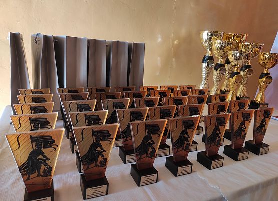 nagrody i statuetki dla uczestników