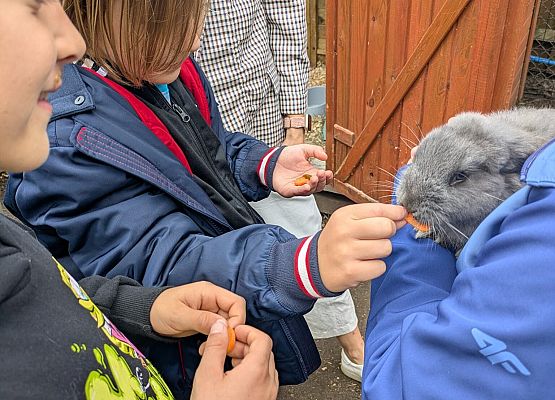 głaszczemy zwierzątka